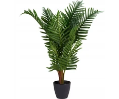 Dirbtinė palmė NOVA, Ø 50 x 85 cm