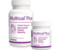 Dolfos MULTICLUS PUS 90 tablečių