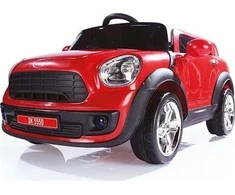 DOLU Araba automobilio įjungimo/išjungimo akumuliatorius 12V RC 8191 81919