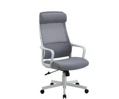 Domoletti CHAIR MC-1088E Baltas FRAME