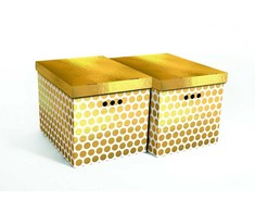 Domoletti FOLDABLE CARTON BOXSET A4 2PCS DOTS