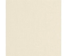 Domoletti ROLLER BLIND SHANTUNG 875 60X170