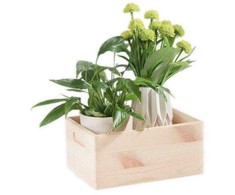 Domoletti WOODEN BOX33X25X15.5 508400