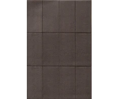 Dallprint Magnetiniai lipdukai,1.27cm x 2.5cm,12vn