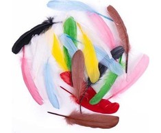 Dallprint Plunksnos žąsies 16cm 20vnt mix