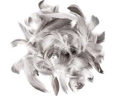 Dallprint Plunksnos anties 15-20cm 5g