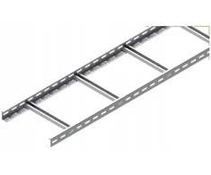 Baks Kabelių kopėčios DUP300H60/3N Baks