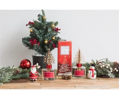 Drėkintuvas Cocodor Džiaugsmingo sezono „Betliejaus žvaigždė“ aromatų difuzorius 120 ml PDI31470