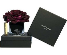 Set Herve Gambs: Ecorce Fauve, Room Purškiklis, 10 ml + Juodas Couture Flower, Porcelain, Aroma Reed Diffuser, Juodas