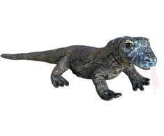 Dubi Komodo varanas 70 cm