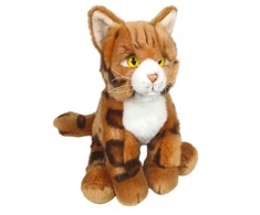 Dubi Kot bengalski 28cm 34861
