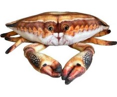Dubi Krabas 31 cm
