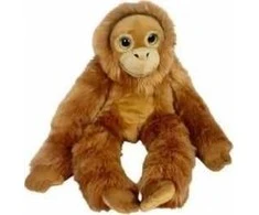 Dubi Orangutano didelės akys 50 cm
