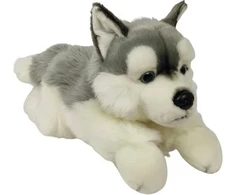 Dubi Plusz Dubi Pies Husky leżący 30cm 35493