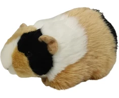 Dubi Pliušinis žaislas - jūrų kiaulytė, 20 cm