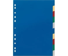 Durable DURABLE Ordnerregister PP blanko/2x5fbg f 10 Blatt