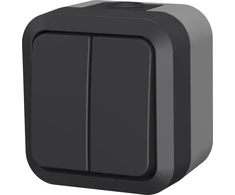 Duwi 60323 Ant paviršiaus montuojamas dvigubas sietynas Aqua Pro IP55 grafito pilka 60323