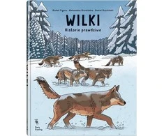 Dwie Siostry Vilkai. Teisingos istorijos