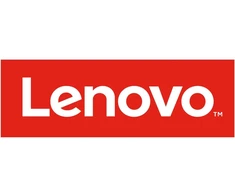 Dysk Lenovo 256G,M.2,2242,PCIe3x2,LIT,STD