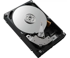 „Dell“ 4 TB 3,5 colio SAS-1 (3 Gb/s) serverio diskas (5JH5X)