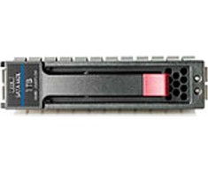 Dysk serwerowy HP 1TB 3.5'' SATA II (3 Gb/s) (454146-S21)