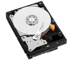 Serverio diskas HP 1TB 3,5 colio SATA II (3 Gb/s) (454146B21)