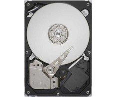 HP 1 TB 3,5 colio SATA III (6 Gb/s) serverio diskas (657750-S21)