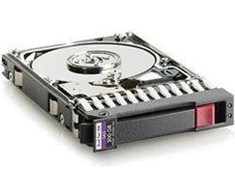 Hewlett Packard (HP) HP 300 GB 2,5 colio SAS-1 (3 Gb/s) serverio diskas (507284-001)
