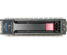 HP 3 TB 3,5 colio SATA III (6 Gb/s) serverio diskas (628065-B21)