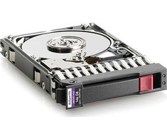 Hewlett Packard (HP) HP 450 GB 2,5 colio SAS-2 (6 Gb/s) serverio diskas (E2D56A)