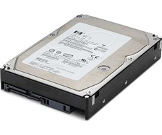 Hewlett Packard (HP) HP 500 GB 2,5 colio SAS-2 (6 Gb/s) serverio diskas (713829-B21)