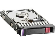 HP serverio diskas 750GB 3.5" SATA I (1.5 Gb/s) (432341-B21)