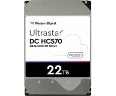 Western Digital Serverio diskas WD Ultular ar DC HC570 22TB 3.5 "SAS-3 (12Gb / s) (0F48052)