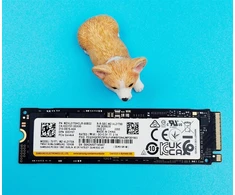 Dell SSDR, 1 TB, G44, 80S3, SMSNG, PM9A1