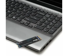 Dysk SSD PNY M280CS2241-2TB-RB urządzenie SSD M.2 PCI Express 4.0 NVMe 3D NAND