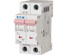 „Eaton“ grandinės pertraukiklis 2P D 2A 6 kA AC PL6-D2/2 286574