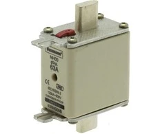 Eaton NH00 įterpti 63A 500V gL / GG dvigubą rodiklį (63NHG00B)