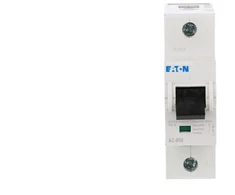 Eaton 174484 Grandinės pertraukiklis 1P B 50A 25kA AC AZ-B50 174484