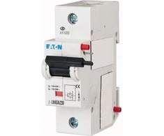 Eaton (248442)