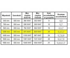 Edan Budnik Vonios kambario radiatorius WEST W20/60 EDAN 950W 1200/650