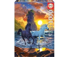 Educa Dėlionė (puzzle) 1000 VEINARAGIAI PAPLŪDYMYJE 12-99 metų