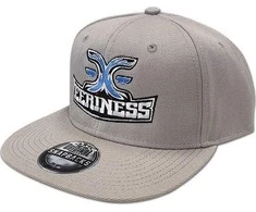 Kepurė EERINESS EERINESS snapback, pilkas, išsiuvinėtas logotipas