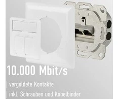 Efb M-Cab CAT6A SOCKET FLUSH-MOUNTED RJ45/LSA+ CONNECT Baltas 2-FOLD