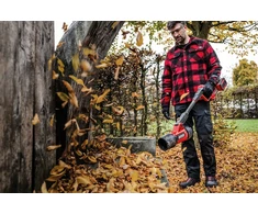 Einhell GP-LB 36/270 Li E BL Cordless Blower (3433570)