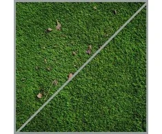 Einhell PicoBELLA STRAIGHT 3424121 (SOFT- DREWNO, TW.SZT)