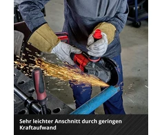 Einhell Metalo pjovimo diskų rinkinys 115X1,0 MM 50 vnt.