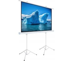 Art MENINĖS VADOVAS EKRANAS ANT A su stovu 140 colių 254x254cm TA-140 1:1 dvigubos viryklės