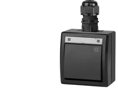 Elektro Plast Nasielsk JUNGTIES ŠVIETIMO N/T IP65 ANTRA.AQUAN