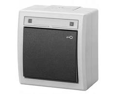 Elektro-Plast Jungiklis 2K dvipolis su raktu IP55 pilkas (5007-10)