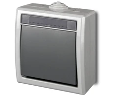 Perjungiklis ELEKTRO-PLAST AQUANT, IP55